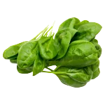 Spiro Spinach