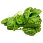 Spiro spinach