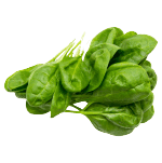 spiro plus