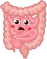 濕疹腸道
