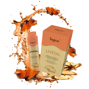 Livetal 牛樟芝護肝寶