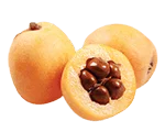 loquat