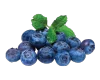 blueberry