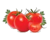 tomato evite