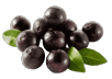 liveon acai