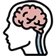 liveon stimulates brain