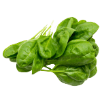 Spiro Spinach