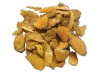 knotweed liveon