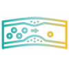 biograpeseed lipid