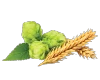 novia-hops