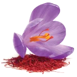 novia-saffron