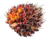 frusso palmfiber